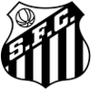 Santos Emblem