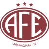 Ferroviária Emblem
