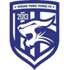 Wuhan Three Towns Emblem