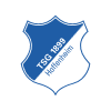 TSG Hoffenheim Emblem