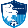 Erzurumspor FK