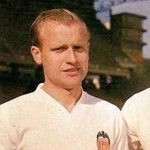 Vicente Guillot