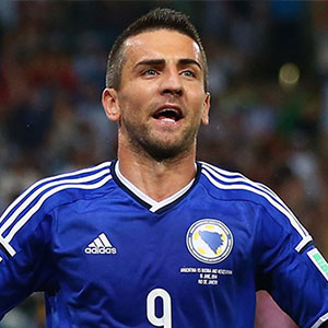 Vedad Ibišević