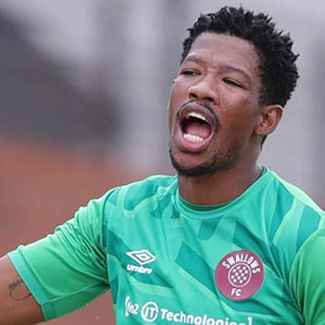 Virgil Vries