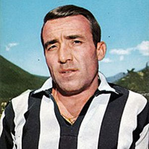 Luis del Sol