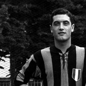 Gino Armano