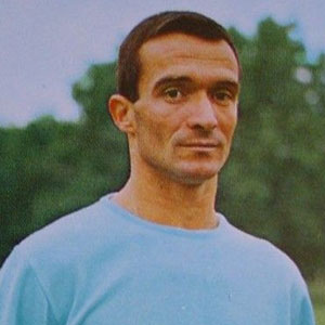 Milutin Šoškić