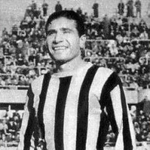 Teobaldo Depetrini