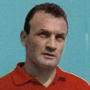 Giacomo Losi