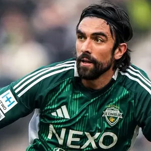Andrigo