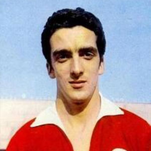 José Torres