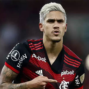 Pedro Guilherme