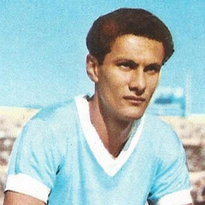 Pedro Rocha