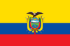 Independiente del Valle Flag