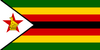 Dynamos Flag