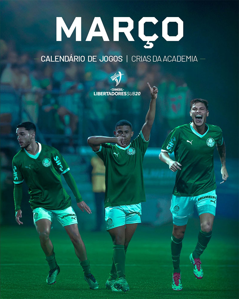 SE Palmeiras Photo No1.