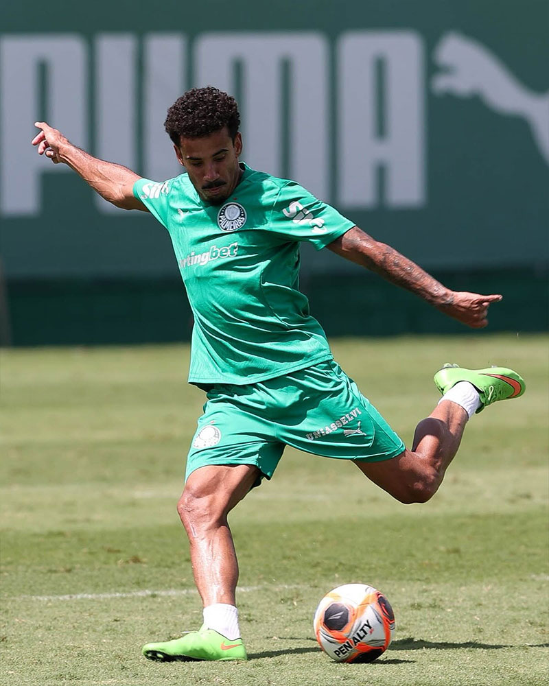 SE Palmeiras Photo No10.
