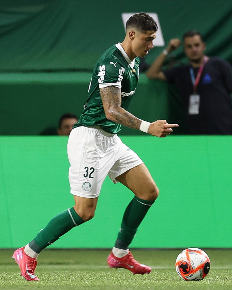 SE Palmeiras Photo No13.