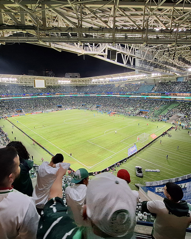 SE Palmeiras Photo No3.