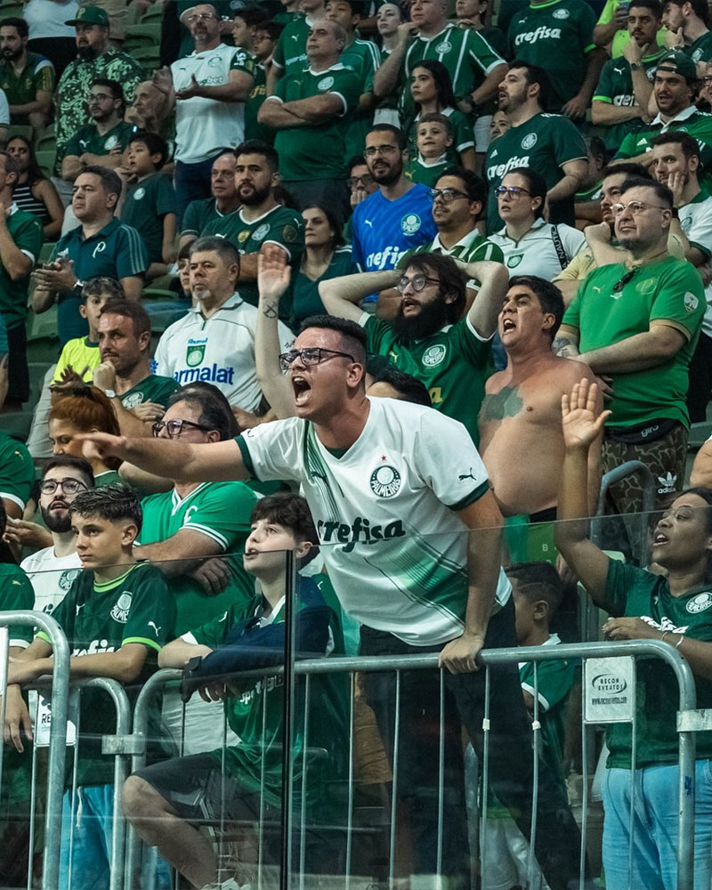 SE Palmeiras Photo No5.
