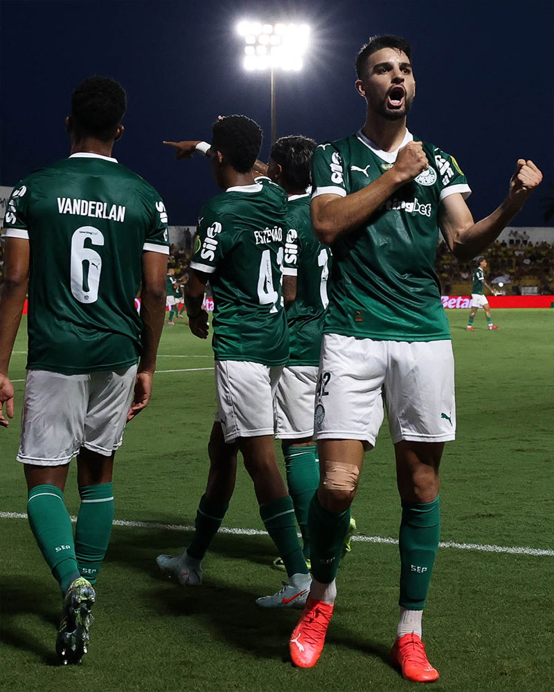 SE Palmeiras Photo No7.