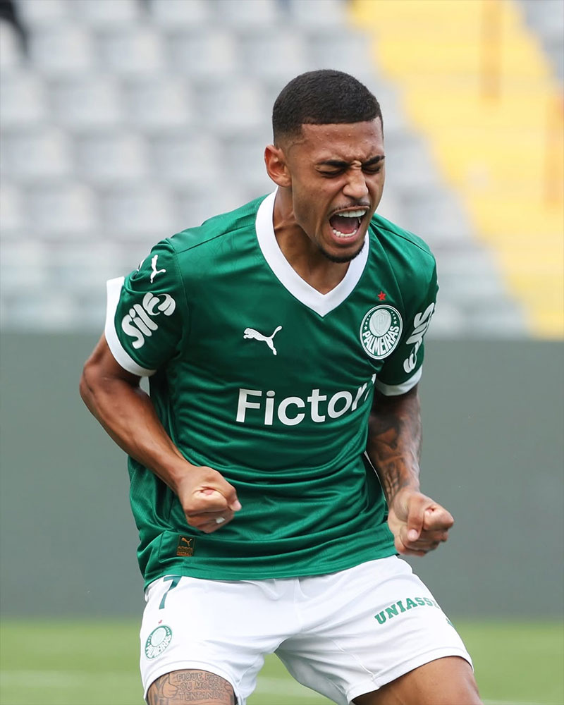 SE Palmeiras Photo No8.