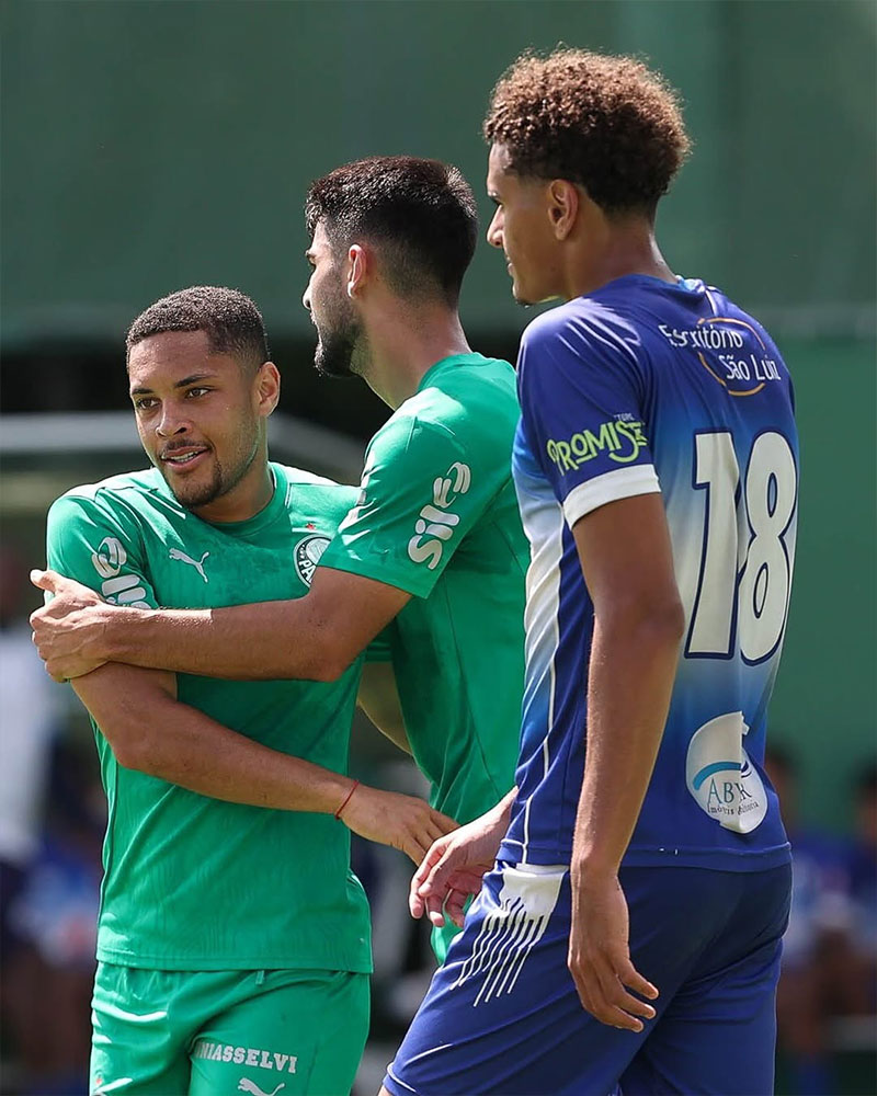 SE Palmeiras Photo No9.