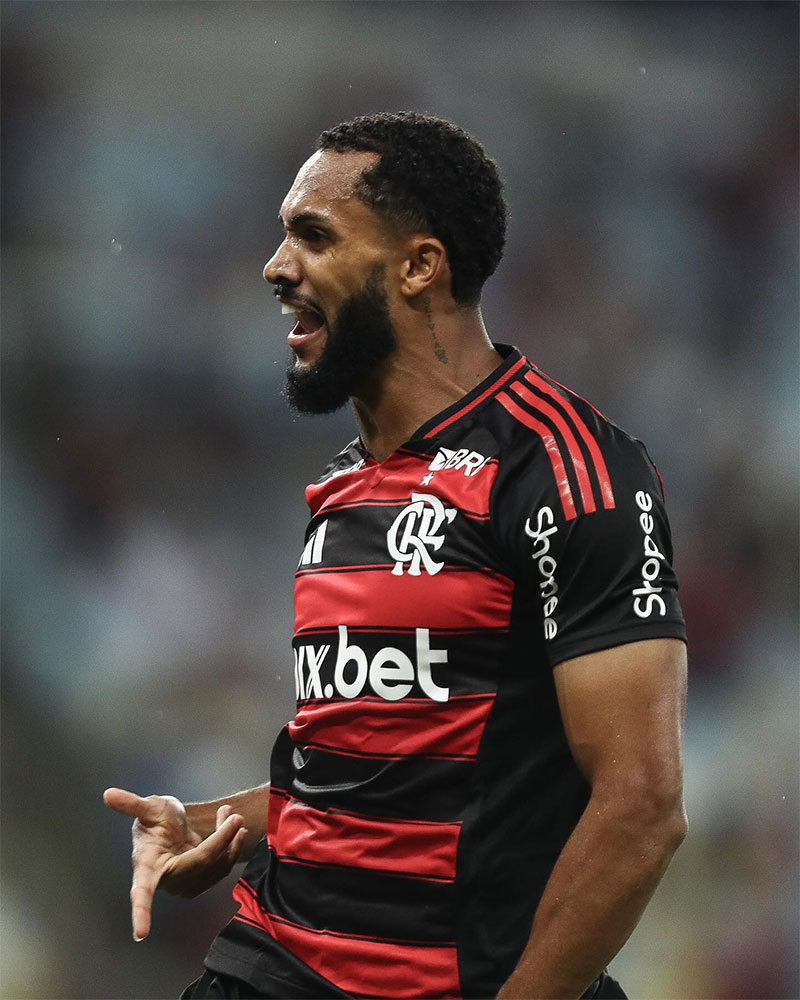 Flamengo Photo No7.