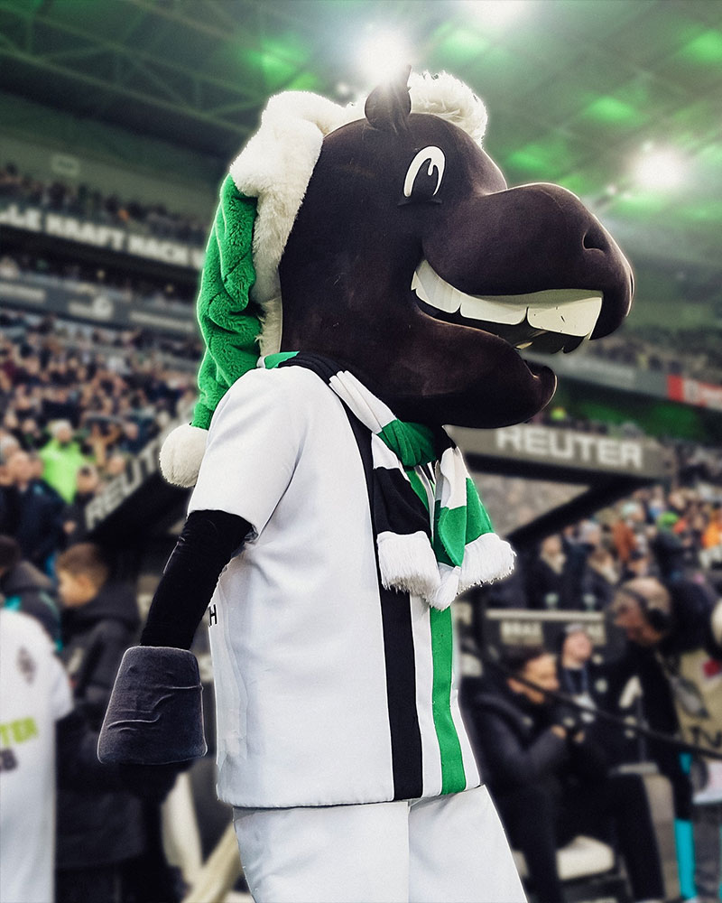 Borussia Mönchengladbach Photo No4.