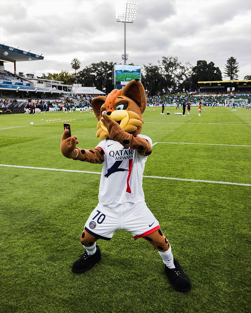 Paris Saint-Germain Féminines Photo No6.