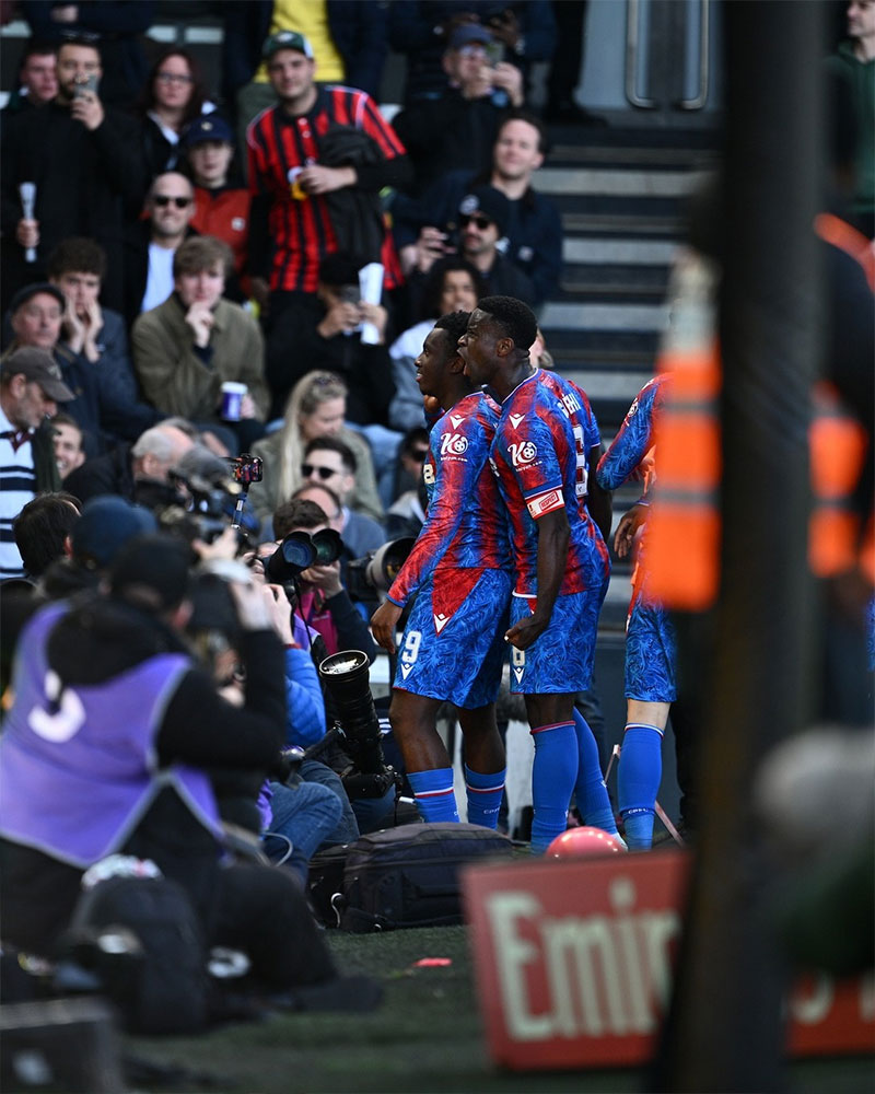 Crystal Palace Photo No19.