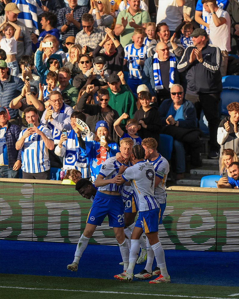 Brighton & Hove Albion Photo No18.