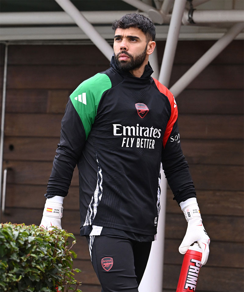 Arsenal FC Photo No8.