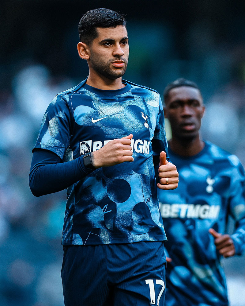 Tottenham Hotspur Photo No8.