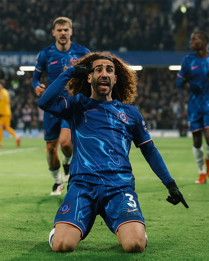 Chelsea FC Photo No13.