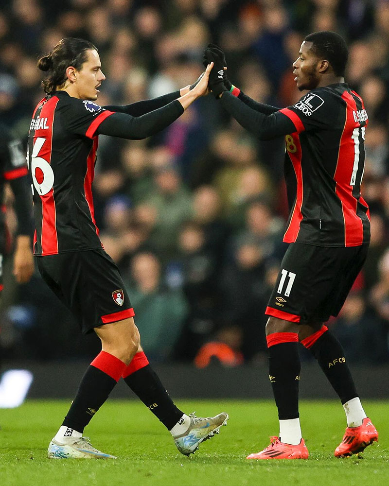 AFC Bournemouth Photo No14.