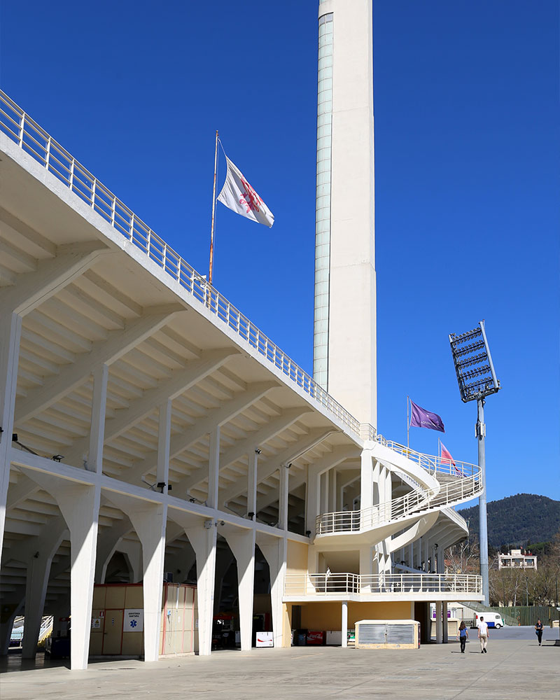 ACF Fiorentina Photo No2.
