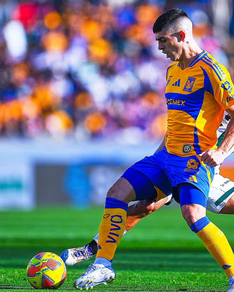 Tigres UANL Photo No10.