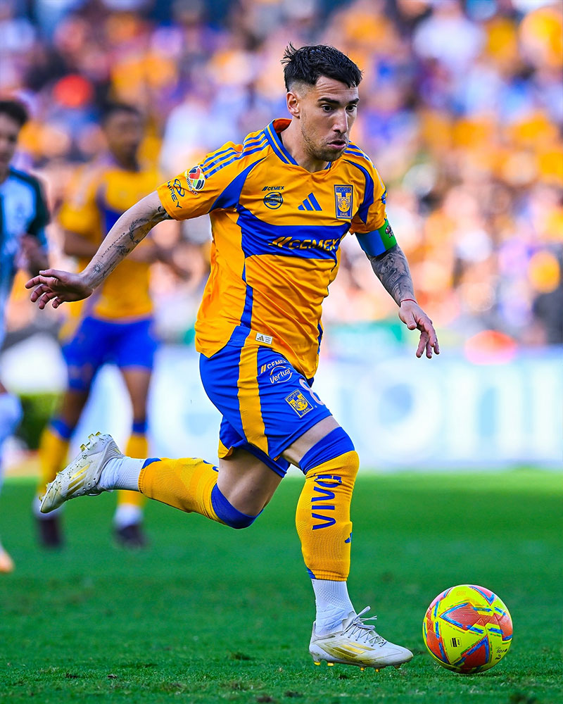 Tigres UANL Photo No11.