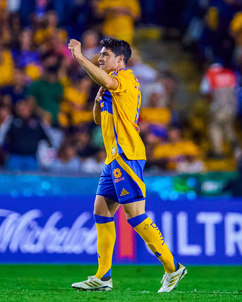 Tigres UANL Photo No13.