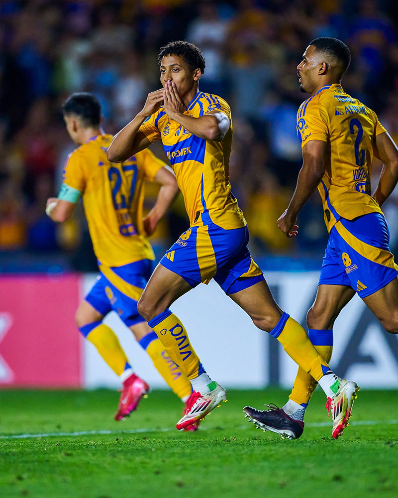 Tigres UANL Photo No14.
