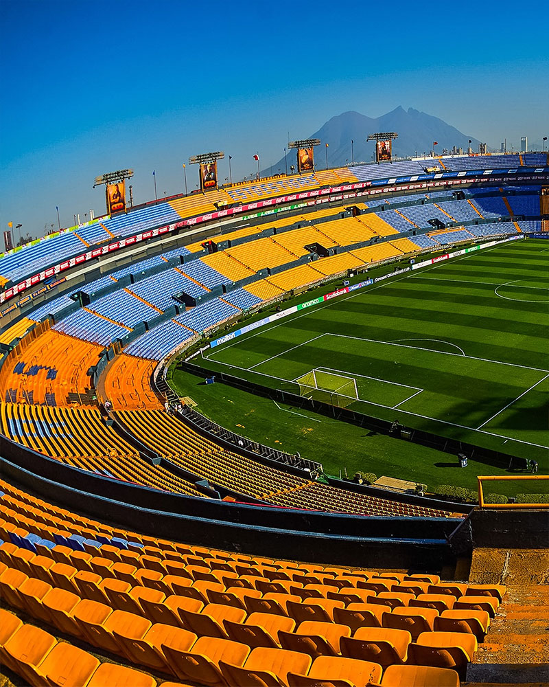 Tigres UANL Photo No2.