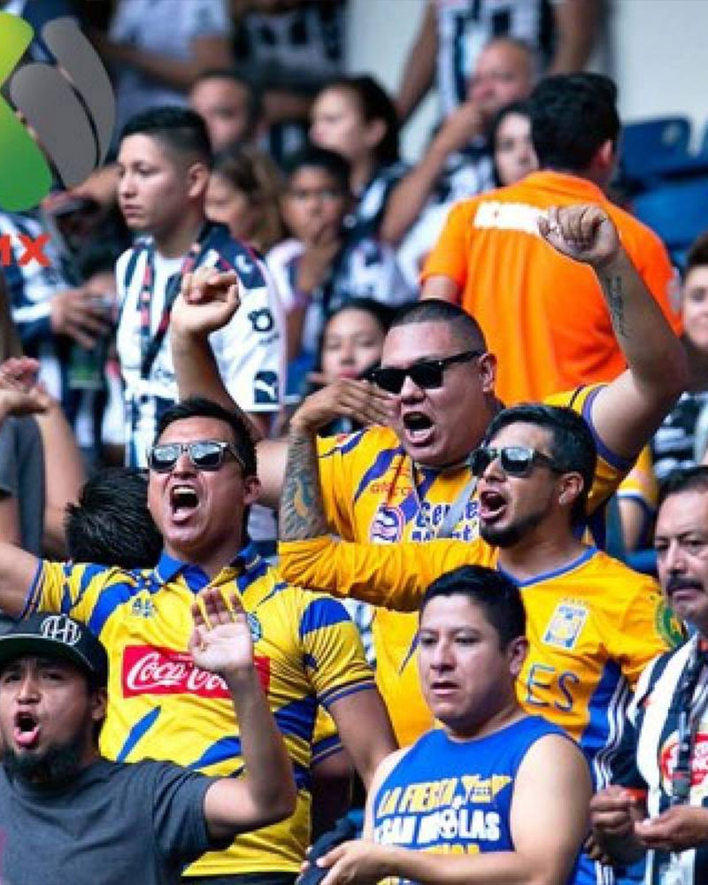 Tigres UANL Photo No4.