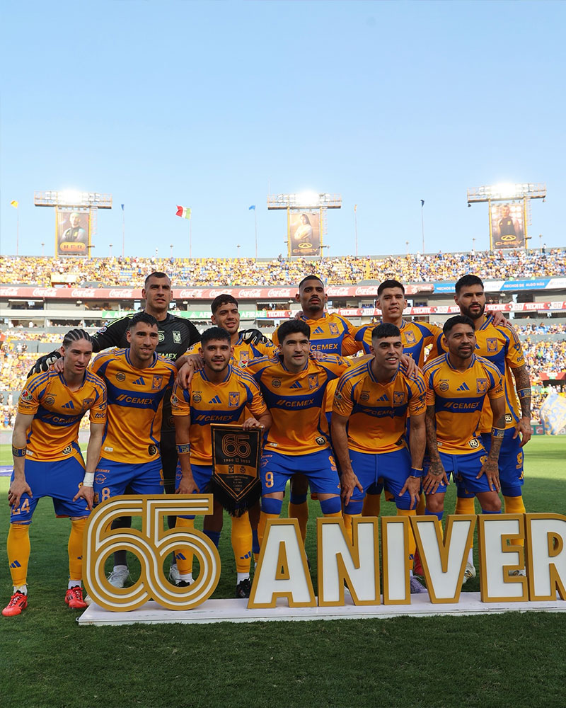 Tigres UANL Photo No7.