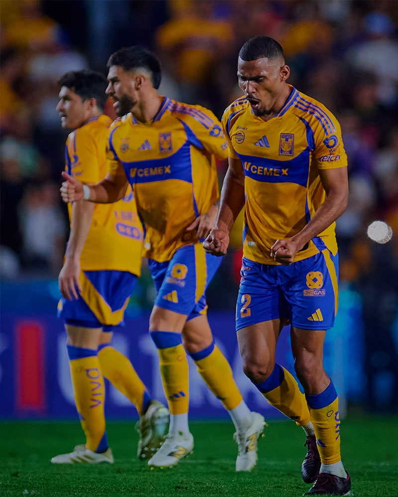 Tigres UANL Photo No8.