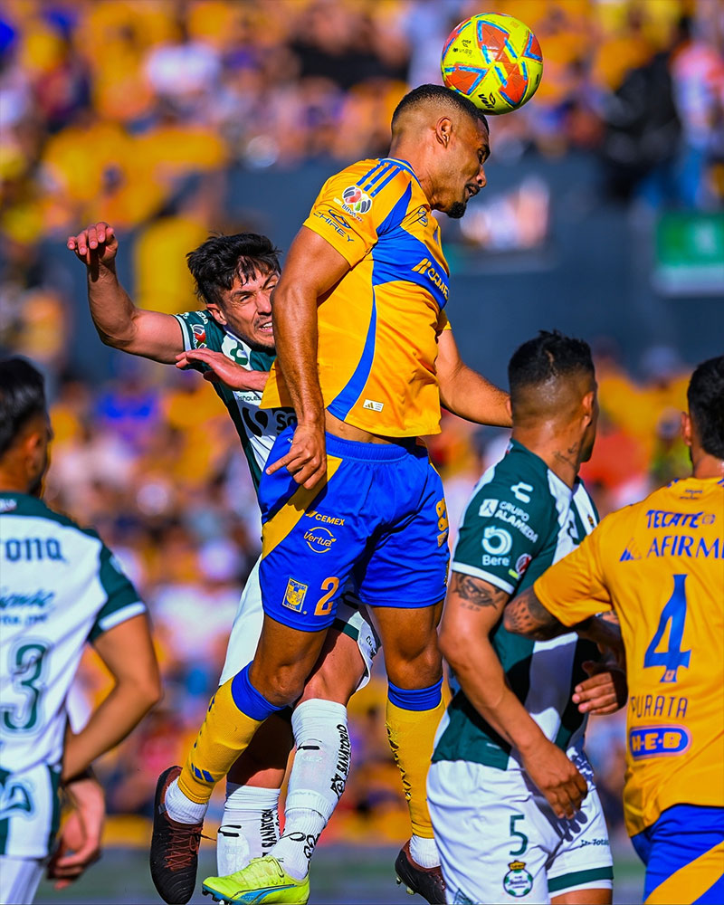 Tigres UANL Photo No9.