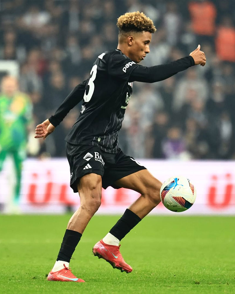 Beşiktaş JK Photo No8.
