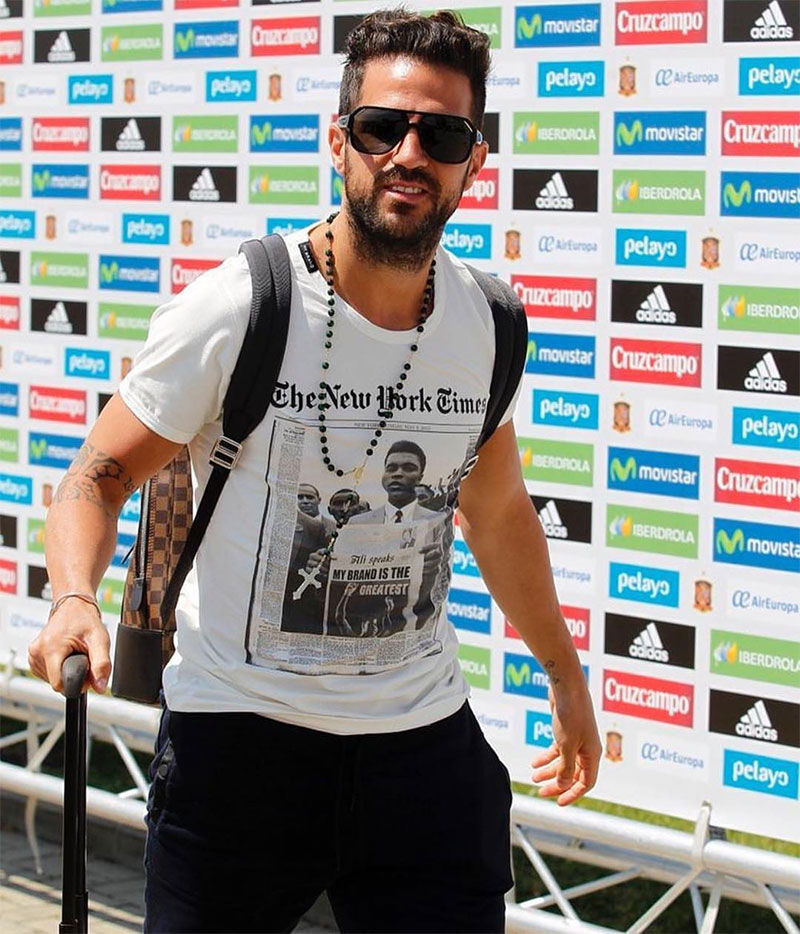 Cesc Fàbregas Photo No10.