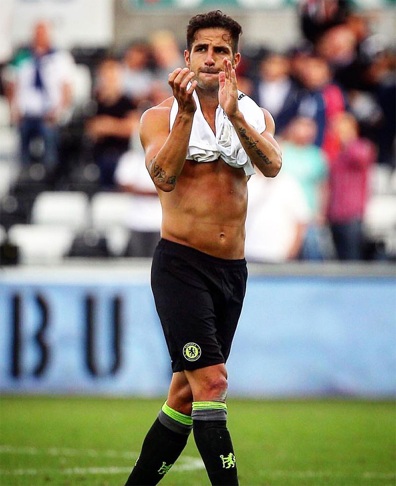 Cesc Fàbregas Photo No9.