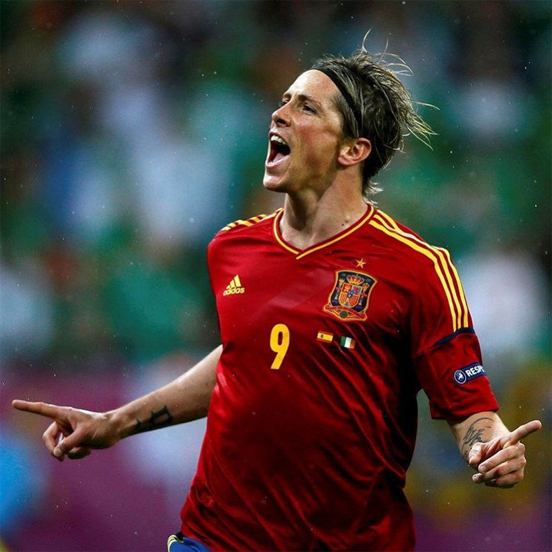 Fernando Torres Photo No8.
